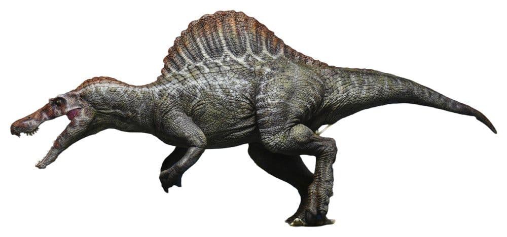 Jurassic Park III Plastic Model Kit 1/35 Spinosaurus 19 cm (Reproduction) [5]