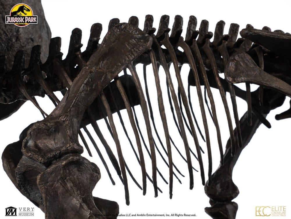 Jurassic World ECC Elite Creature Line Statue 1/12 Triceratops Fossil Skeleton Bronze 33 cm [14]