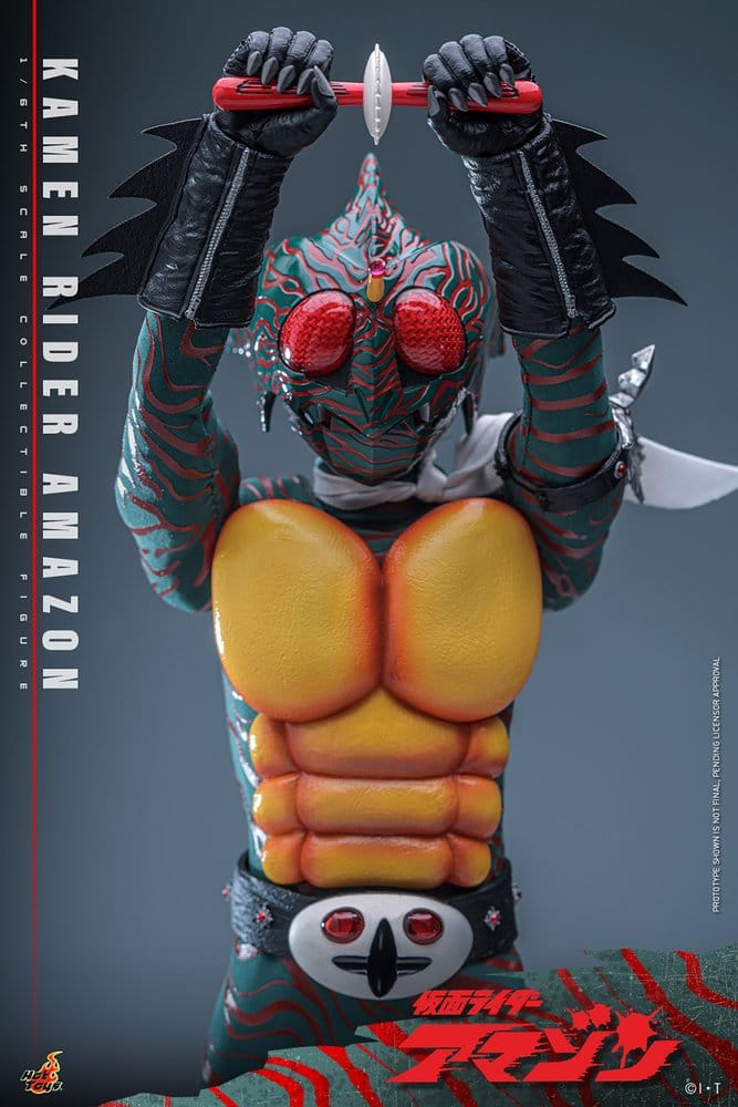 Kamen Rider Amazon 1/6 Amazon (Daisuke Yamamoto) 30 cm [19]