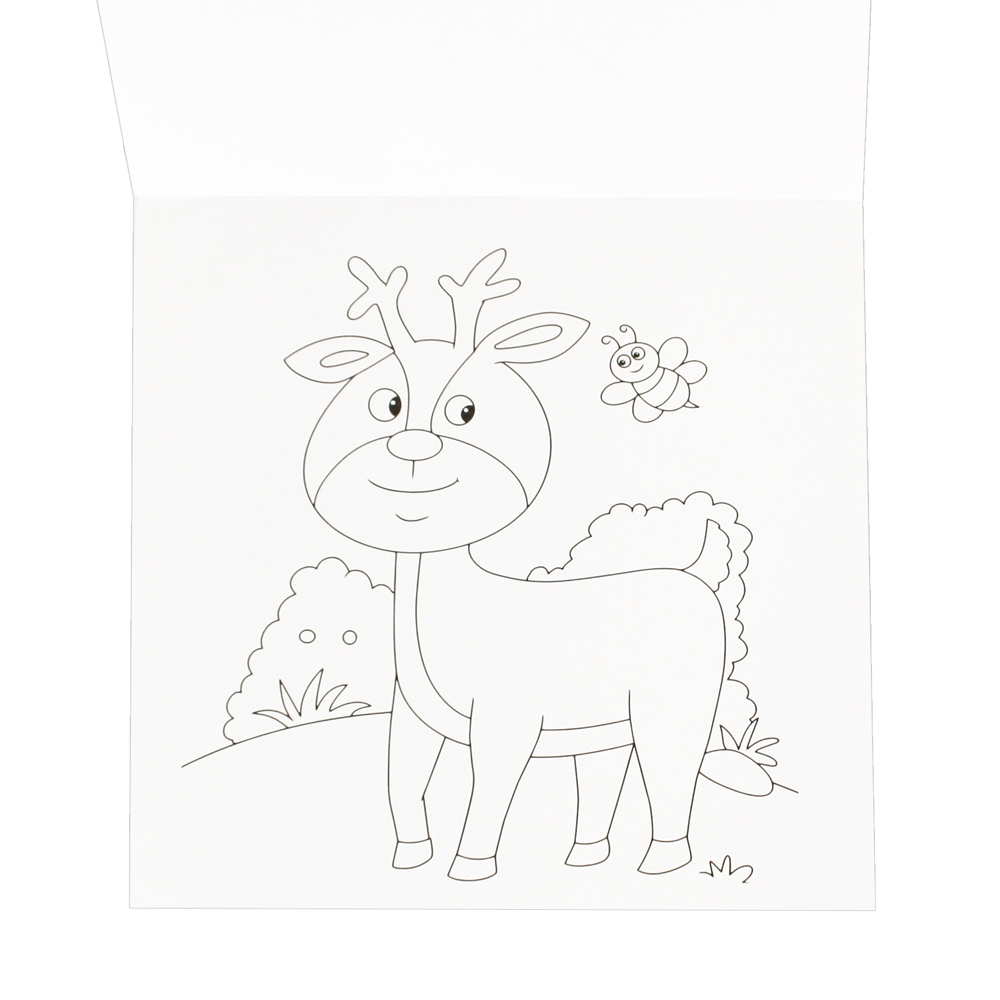 Kit de colorat 4 [2]