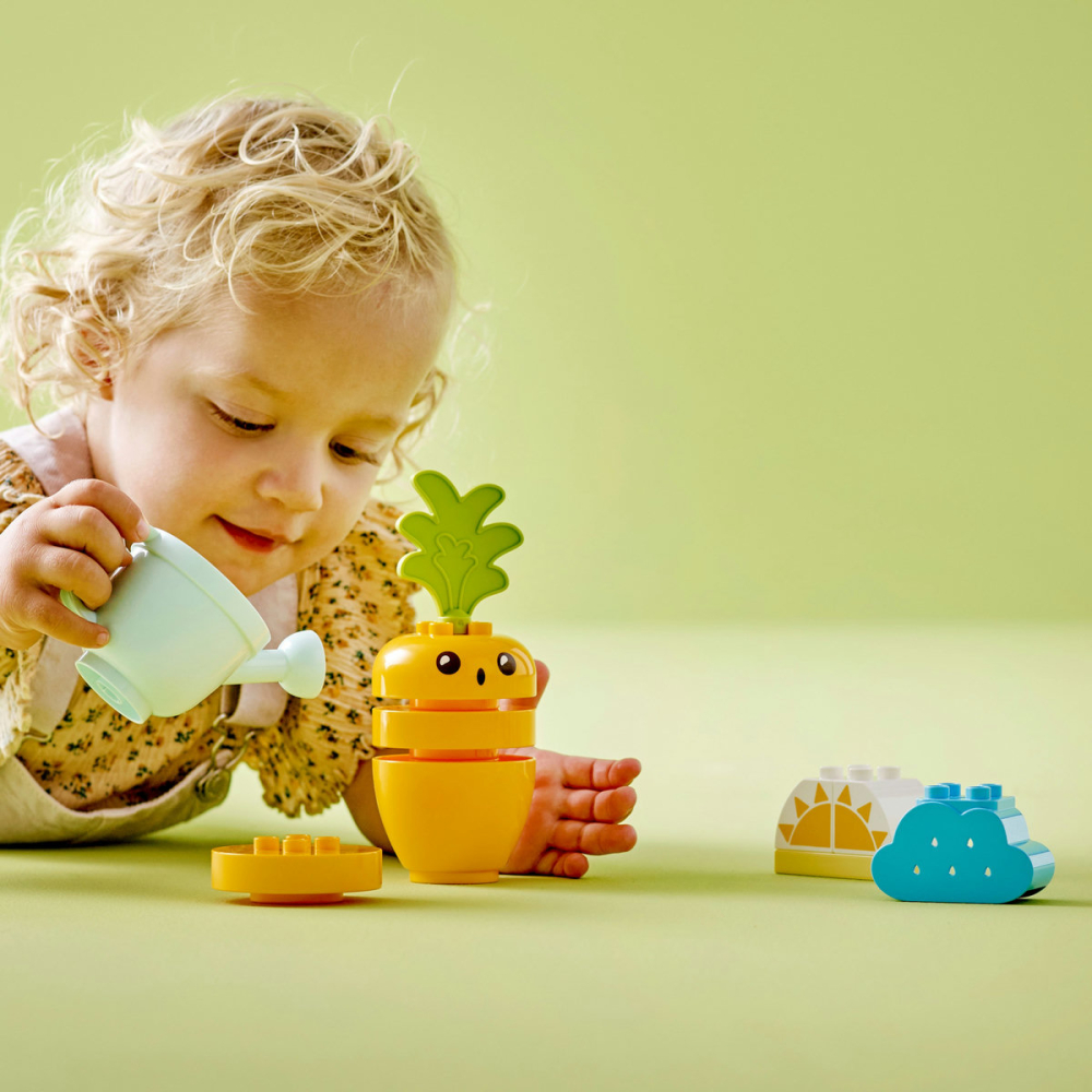 Kit de cultivare al morcovului [5]