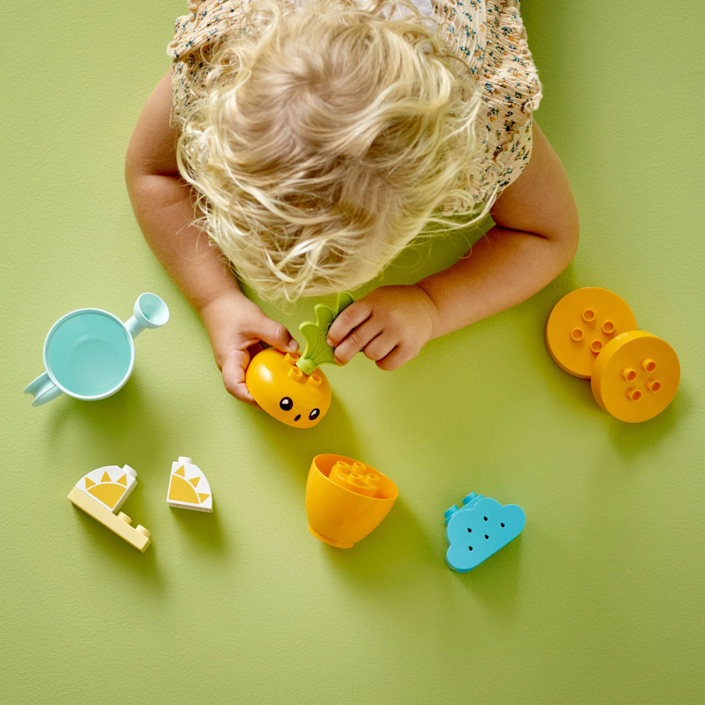 Kit de cultivare al morcovului [4]