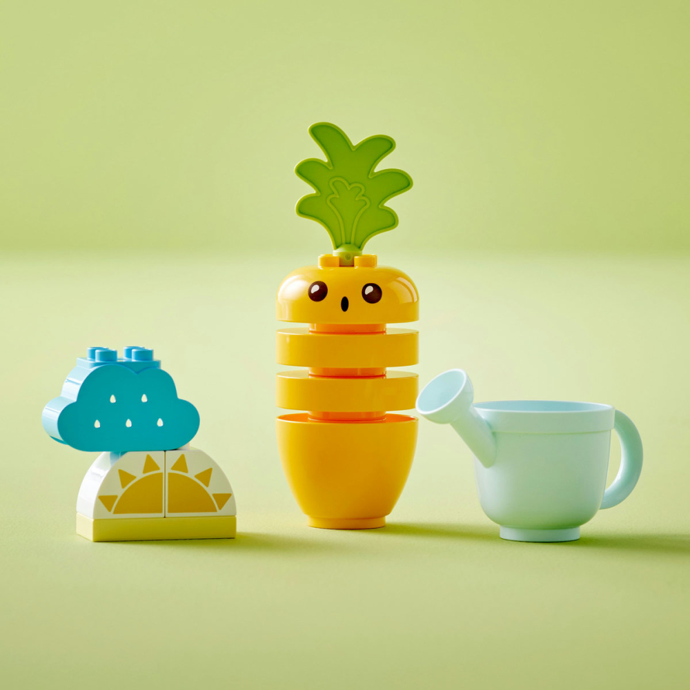 Kit de cultivare al morcovului [6]