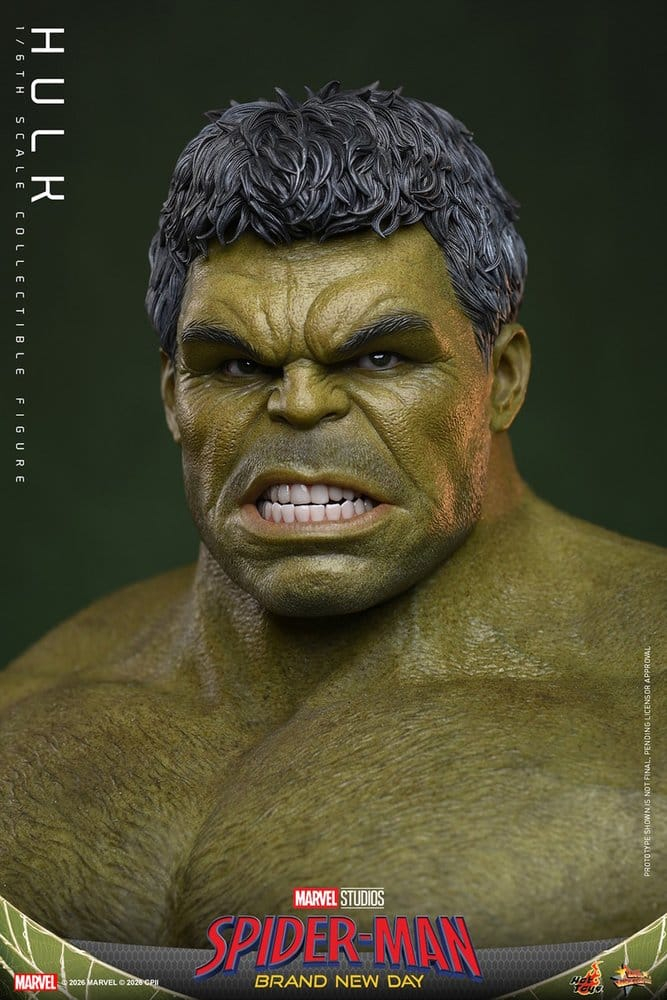 Marvel Action Figure 1/6 Hulk 51 cm [2]