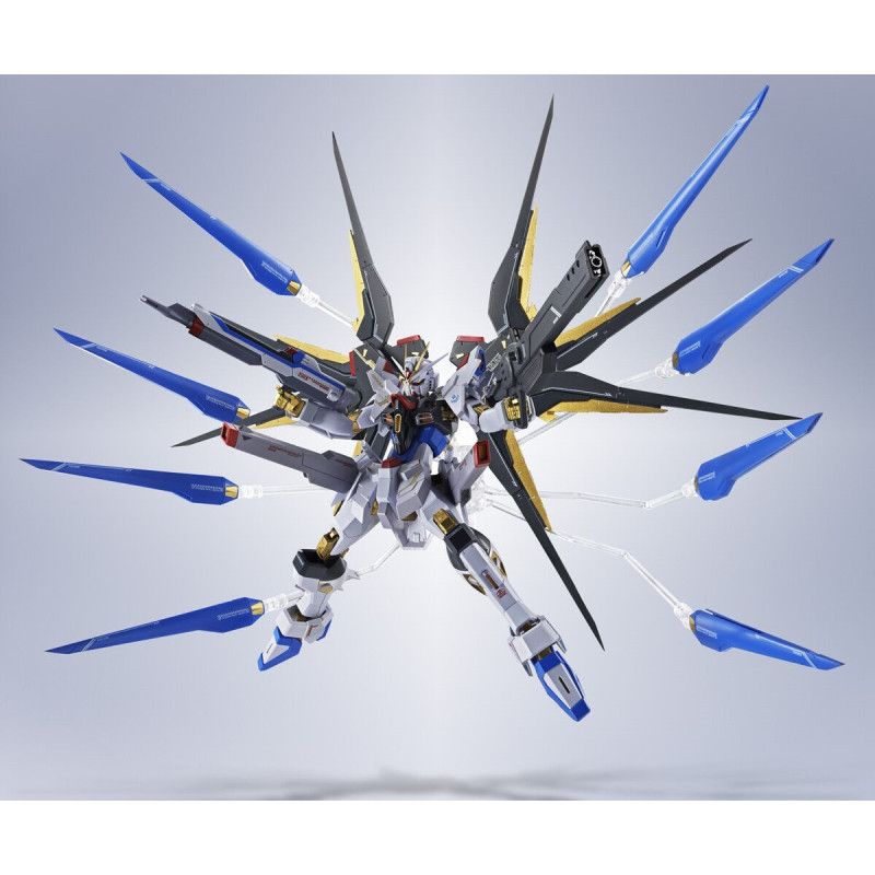 Metal Robot Spirits Strike Freedom Gundam Type 2 Figure [2]