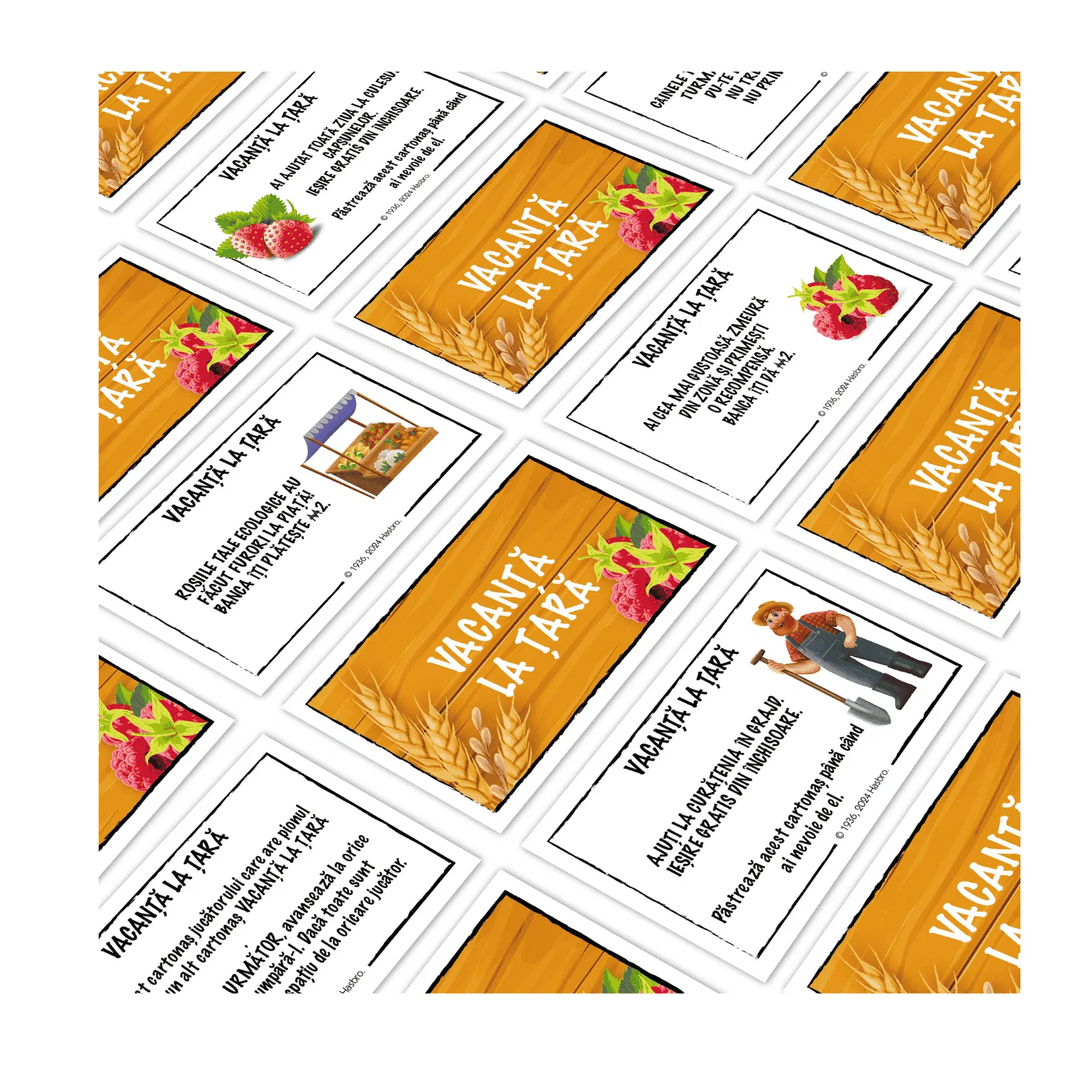 Monopoly Junior Ferma [4]