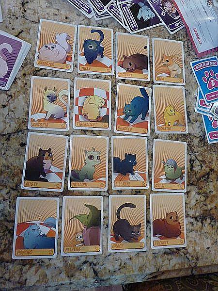 More Kittens in a Blender Expansion [4]