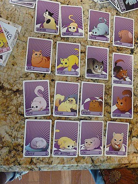 More Kittens in a Blender Expansion [3]