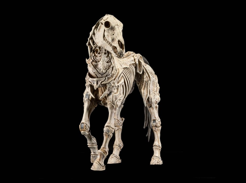Mythic Legions: Reinforcement 3 Action Figure Skeleton Steed Legion Builder [3]