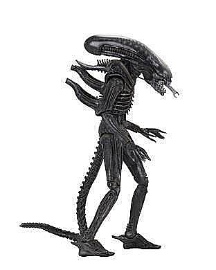 NECA Alien Action Figure 18 cm 40th Anniversary Series 3 Assortment (14) [1]