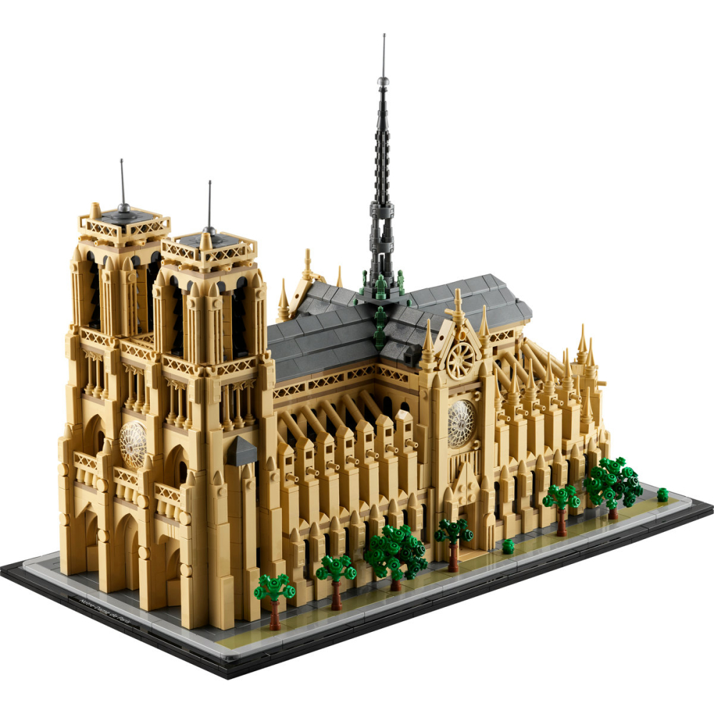 Notre-Dame de Paris - Ambalaj deteriorat [7]