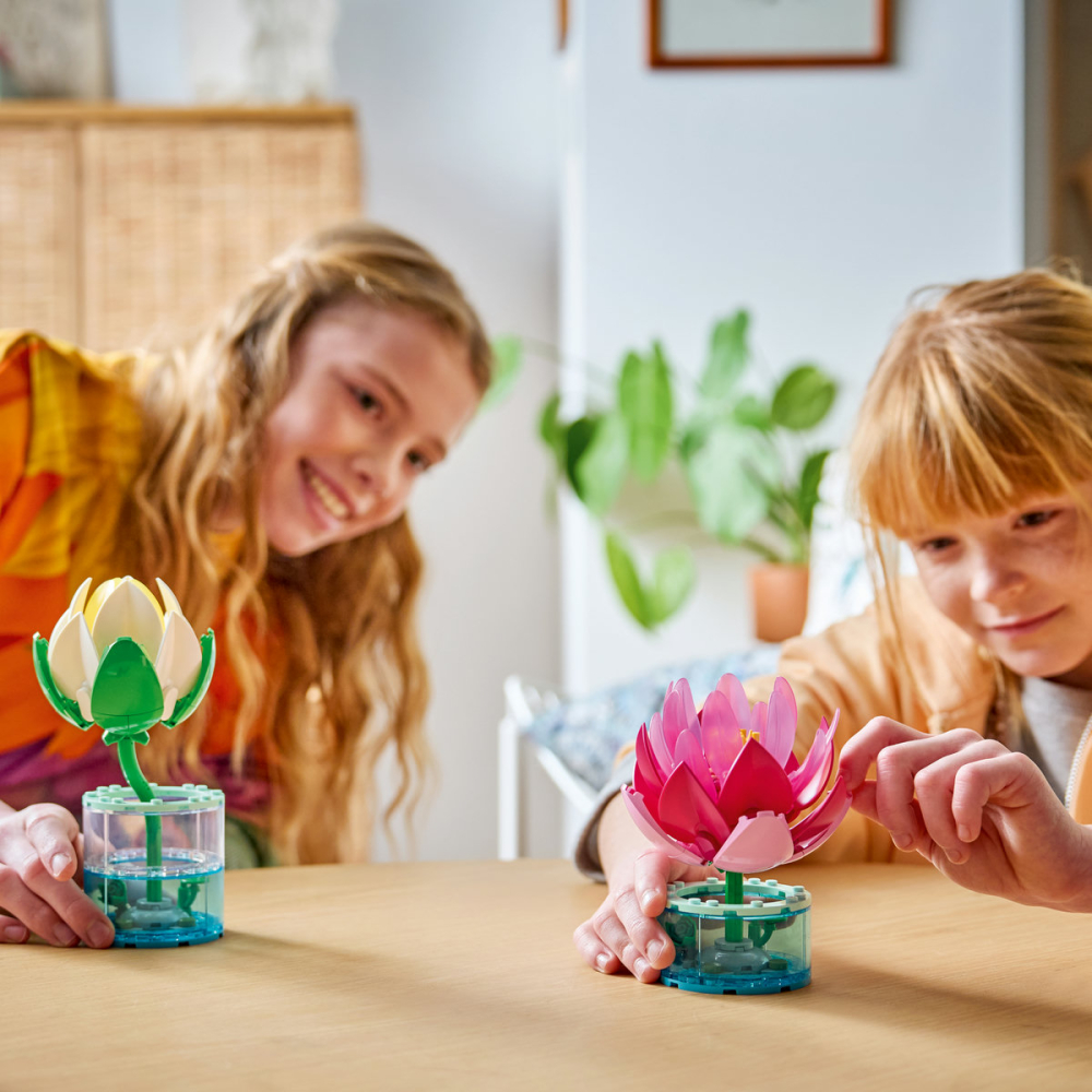 Nuferi [4]