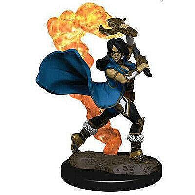 Pathfinder Battles: Premium Painted Figure - Human Cleric Female [1]
