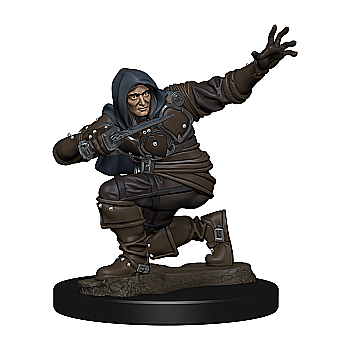 Pathfinder Battles: Premium Painted Figure - Human Rogue Male [1]