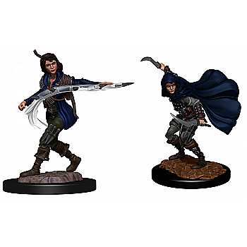 Pathfinder Deepcuts: Human Rogue Female [1]