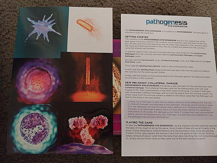 Pathogenesis: STD Expansion [2]