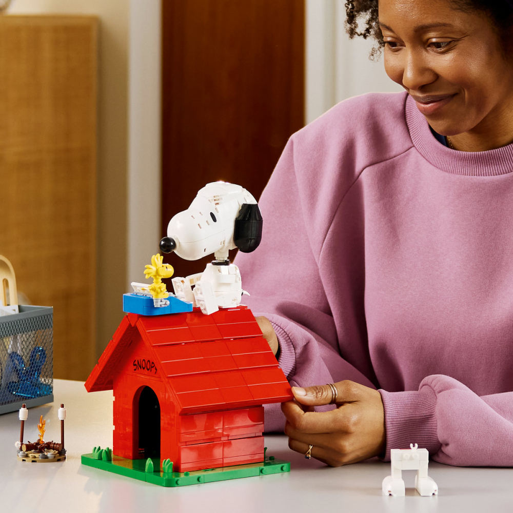 Peanuts: Căsuța lui Snoopy [4]