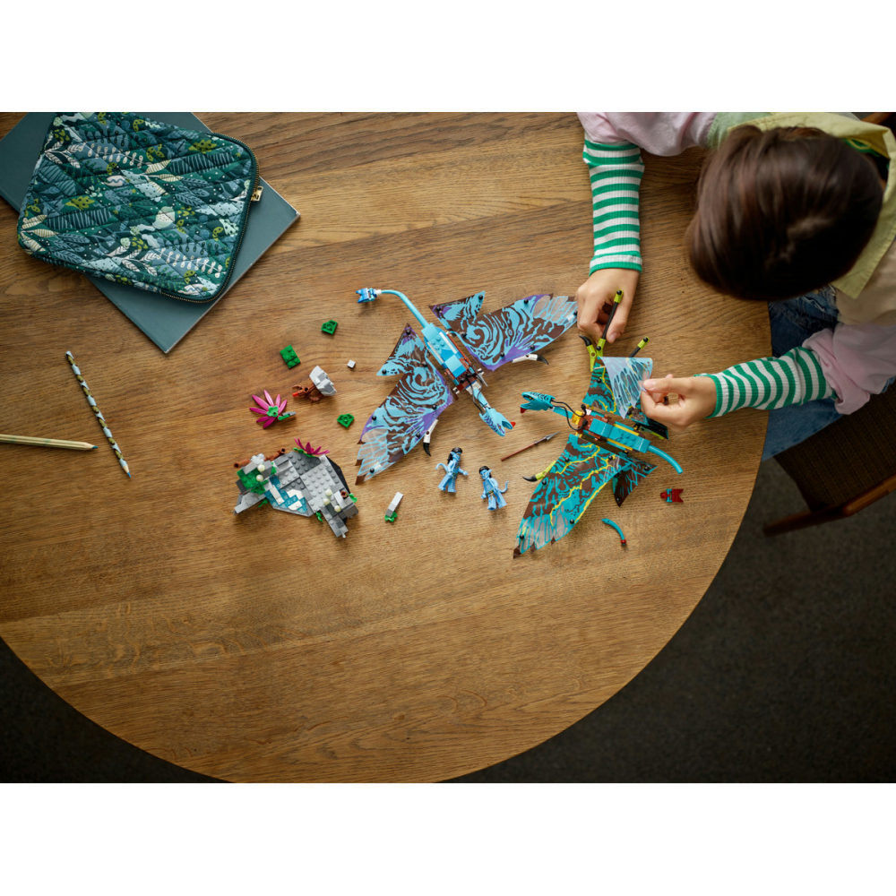 Primul zbor cu Banshee [4]