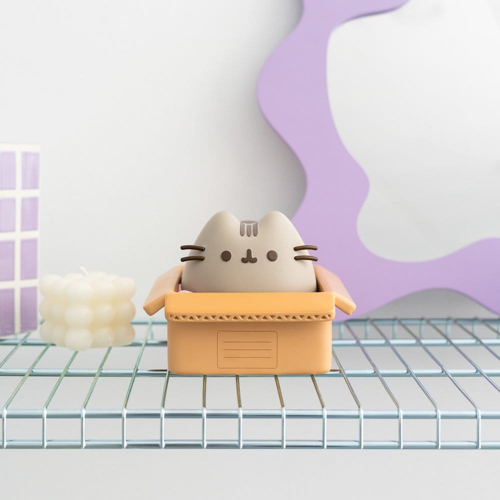 Pusheen Piggy Bank [4]