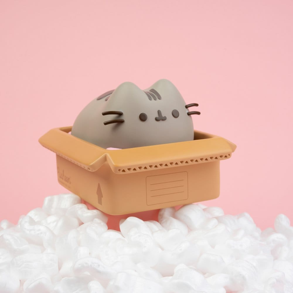 Pusheen Piggy Bank [3]