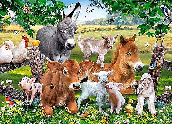Puzzle 100 piese On The Farm 111138 [2]