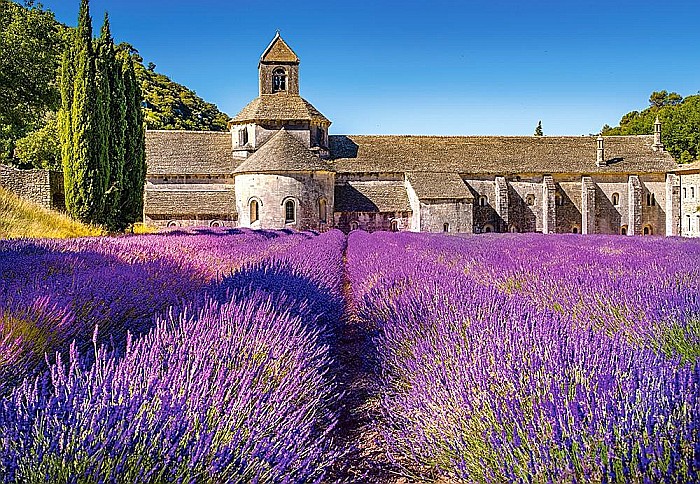 Puzzle 1000 piese Camp de Levantica in Provence, Franta 104284 [2]