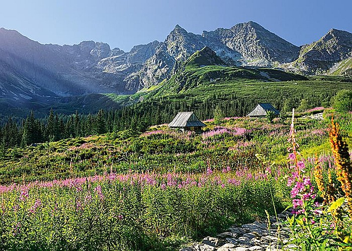 Puzzle 1000 piese Casienicova Hall In, Tatras 30059 Cherry Pazzi [3]