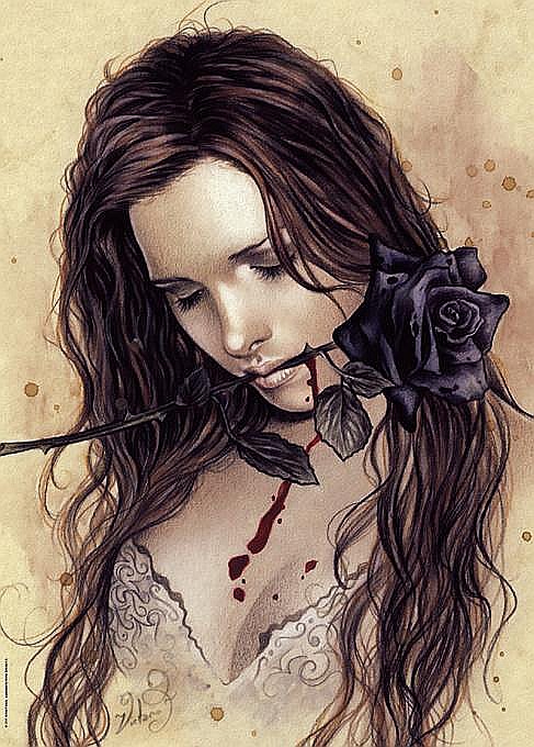 Puzzle 1000 piese Dark Rose Heye 29430 [2]
