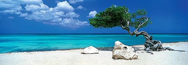 Puzzle 1000 piese Divi Divi Tree Heye 29399 [2]