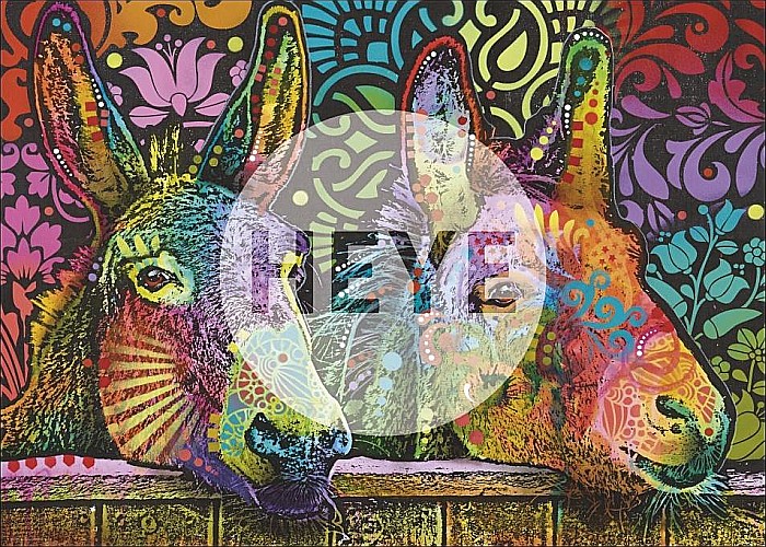 Puzzle 1000 piese Donkey Love Heye 29937 [2]