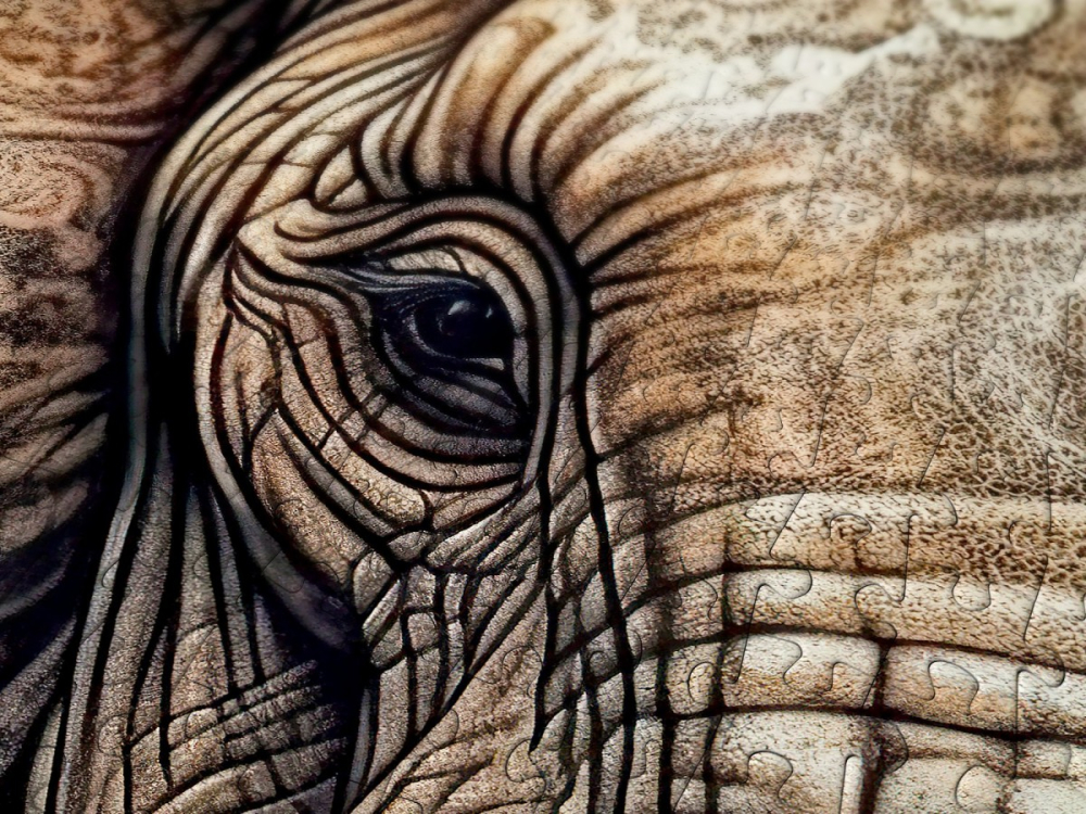 Puzzle 1000 piese Enjoy – Ancestral Patterns [5]