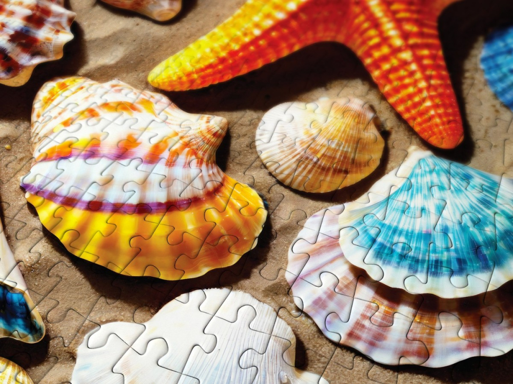 Puzzle 1000 piese Enjoy – Beach Treasure [5]