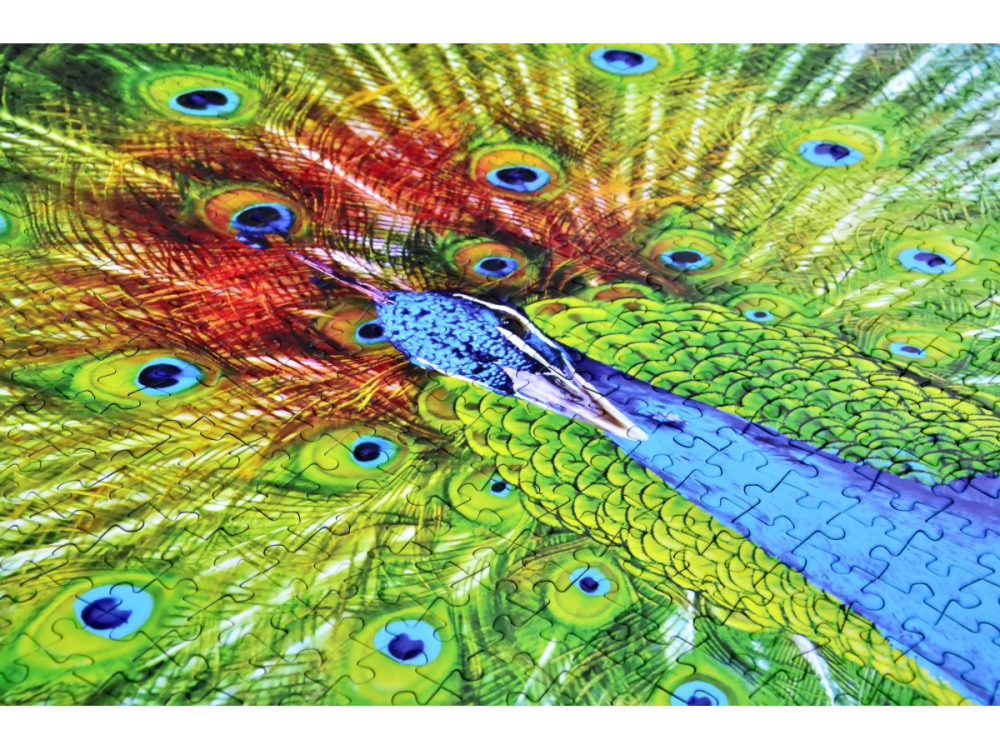 Puzzle 1000 piese Enjoy – Colorful Peacock [4]