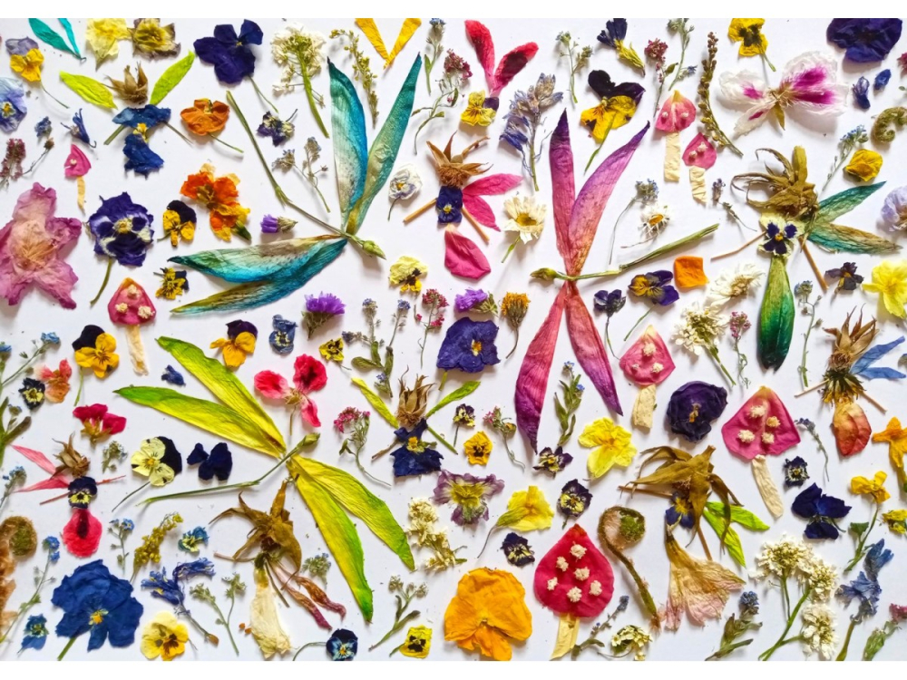 Puzzle 1000 piese Enjoy – Fairies and Dragonflies [2]