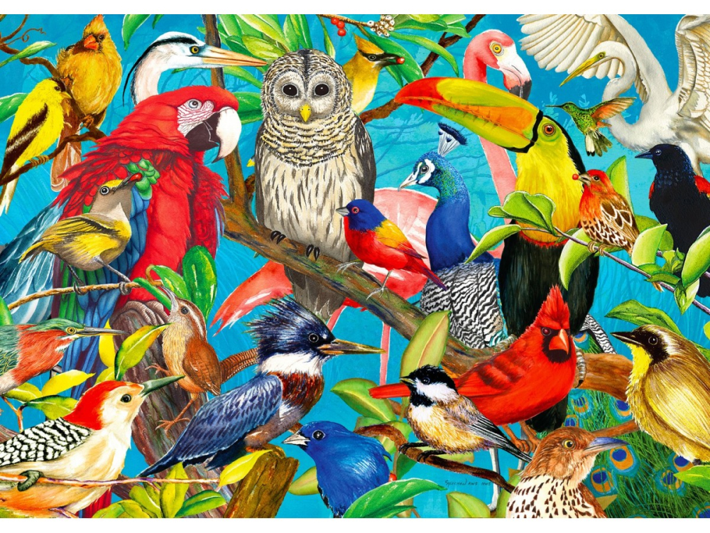 Puzzle 1000 piese Enjoy – Feathered Fenzy [2]