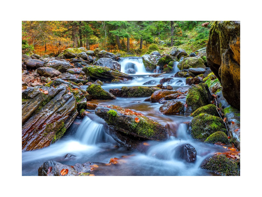 Puzzle 1000 piese Enjoy – Forest Stream in Autumn [2]