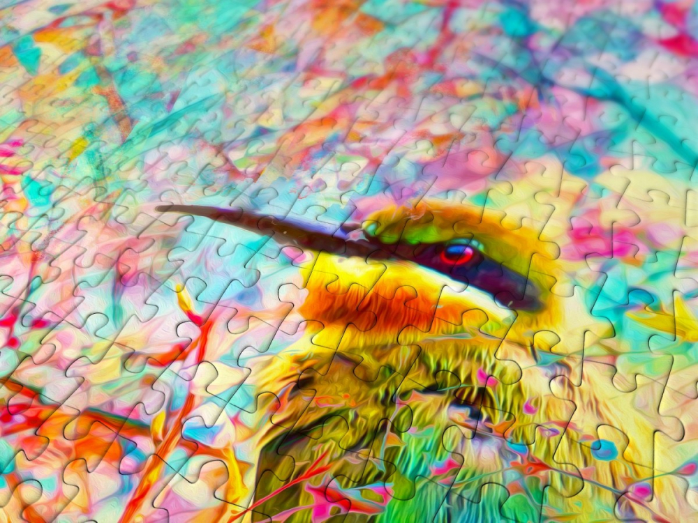 Puzzle 1000 piese Enjoy – Happy Bird [5]