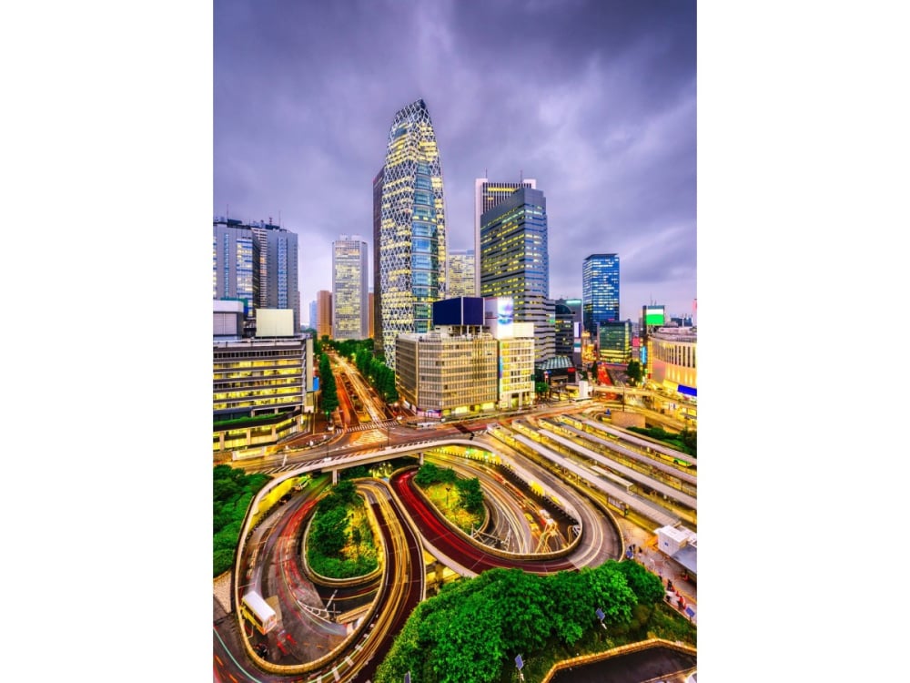 Puzzle 1000 piese Enjoy – Nishi-Shinjuku District Tokyo [2]