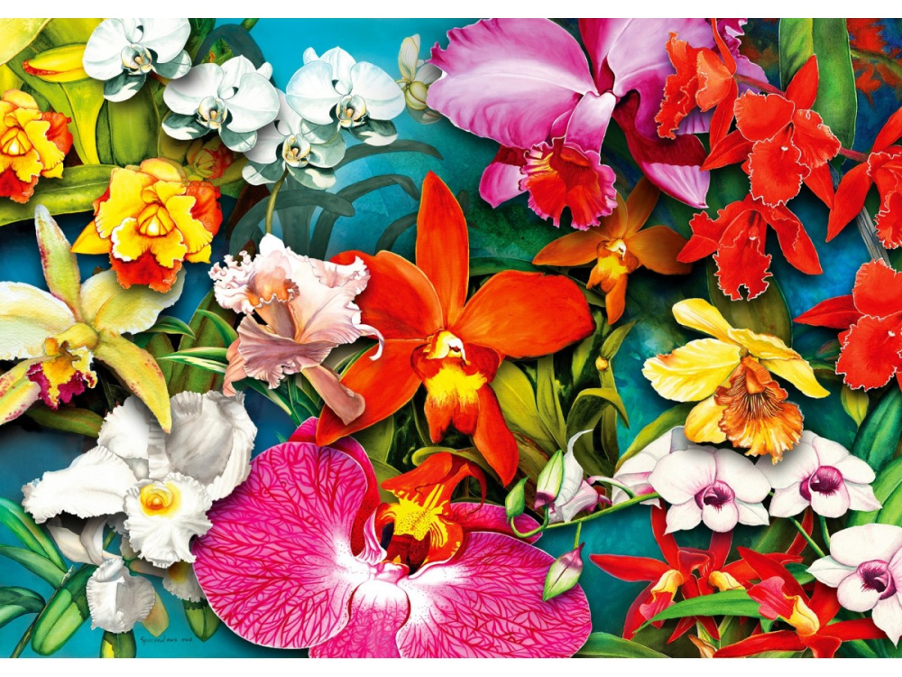 Puzzle 1000 piese Enjoy – Orchid Jungle [2]