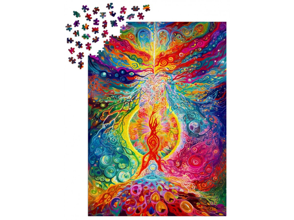 Puzzle 1000 piese Enjoy – Rainbow Epicenter [3]