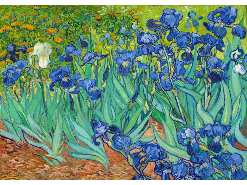 Puzzle 1000 piese Enjoy – Vincent van Gogh: Irises [2]