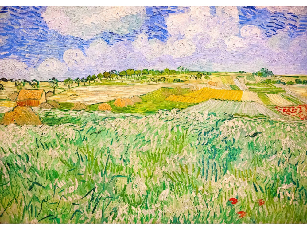 Puzzle 1000 piese Enjoy – Vincent van Gogh: Plain near Auvers [2]