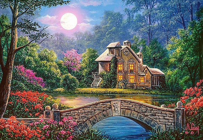 Puzzle 1000 piese Gradina in bataia Lunii 104208 [2]
