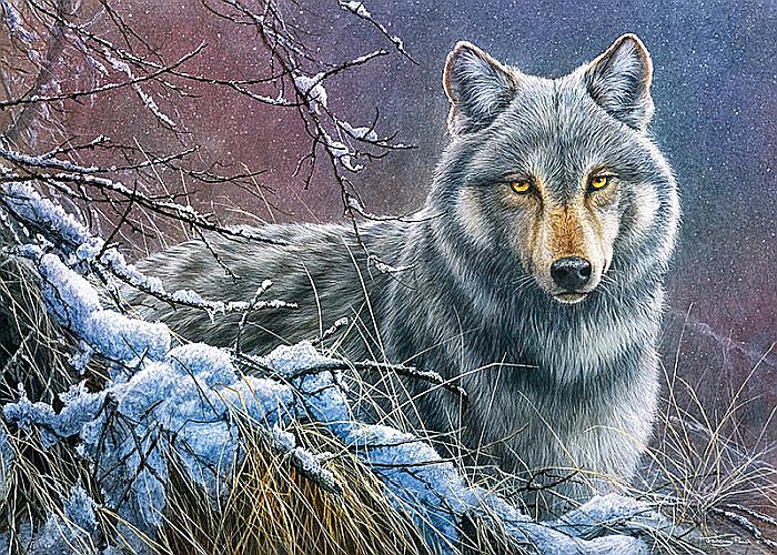 Puzzle 1000 piese Grey Wolf 30080 Cherry Pazzi [3]