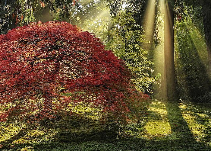 Puzzle 1000 piese Guiding Light Heye 29855 [2]