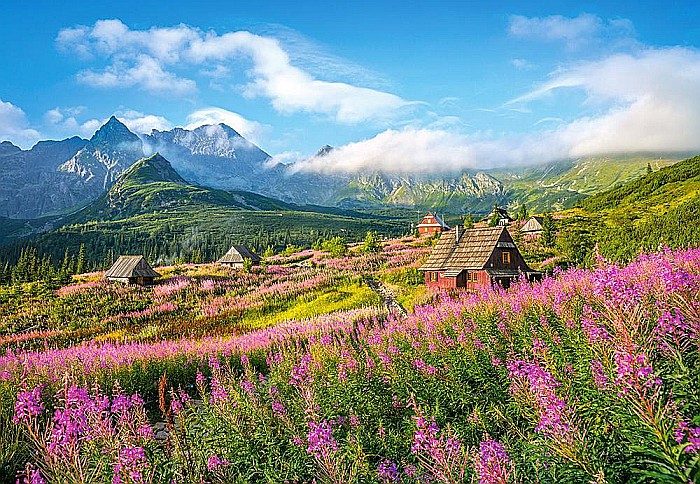 Puzzle 1000 piese Hala Gasienicowa, Tatras, Polonia 104512 [2]