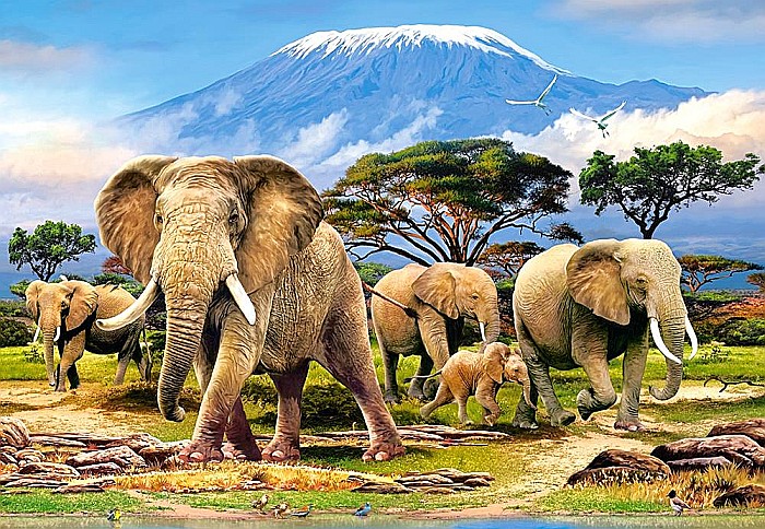 Puzzle 1000 piese Kilimanjaro Morning 103188 [2]