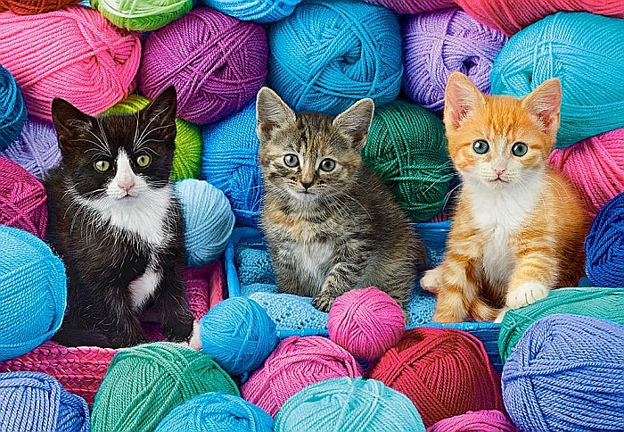 Puzzle 1000 piese Kittens in Yarn Store Castorland 104796 [2]