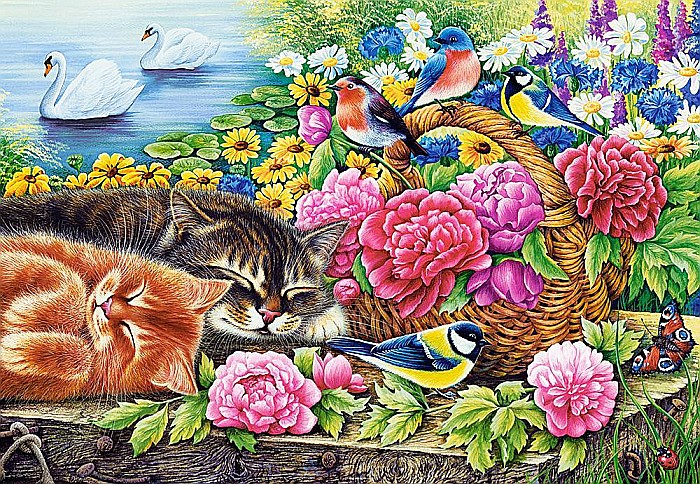 Puzzle 1000 piese Lazy Sunday Castorland 104765 [2]