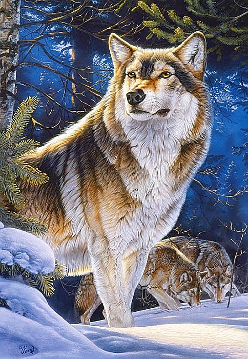 Puzzle 1000 piese Lup 104062 [2]